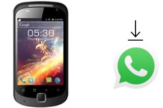 Come installare WhatsApp su Celkon A67