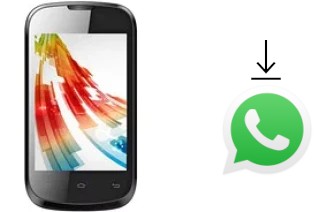 Come installare WhatsApp su Celkon A79