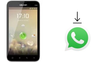 Come installare WhatsApp su Celkon A900