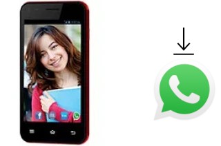 Come installare WhatsApp su Celkon Campus Whizz Q42