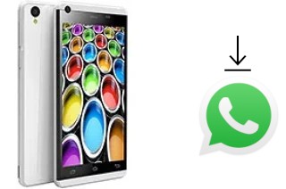 Come installare WhatsApp su Celkon Q500 Millennium Ultra