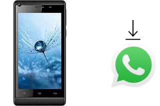 Come installare WhatsApp su Celkon Q455