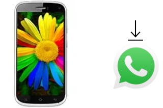 Come installare WhatsApp su Celkon Q470