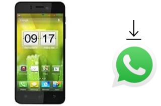 Come installare WhatsApp su Celkon S1