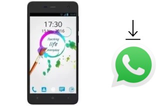 Come installare WhatsApp su CG Blaze 4G