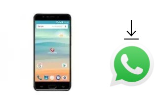 Come installare WhatsApp su Cherry Mobile Flare S6 Selfie