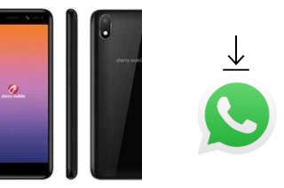 Come installare WhatsApp su Cherry Mobile Flare S7 Mini