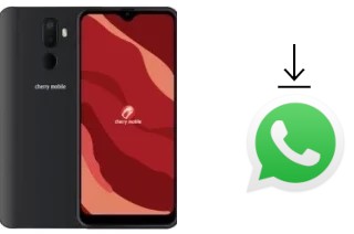 Come installare WhatsApp su Cherry Mobile Flare Y20