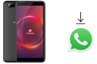 Come installare WhatsApp su Cherry Mobile Flare Y6 Pro