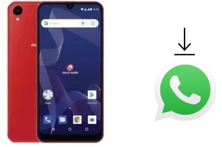 Come installare WhatsApp su Cherry Mobile Flare Y7