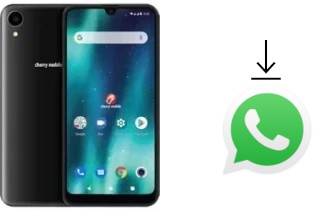 Come installare WhatsApp su Cherry Mobile Omega X