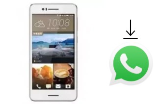 Come installare WhatsApp su CKTEL H728