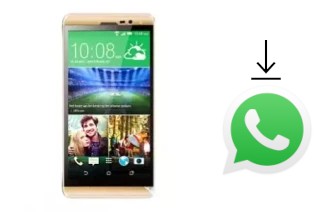 Come installare WhatsApp su CKTEL V20 Plus