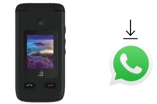 Come installare WhatsApp su Cloud Mobile Mist