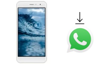 Come installare WhatsApp su Colors Mobile P50 Plus