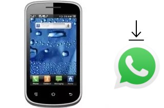 Come installare WhatsApp su Colors Mobile X11