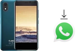 Come installare WhatsApp su Cubot J20