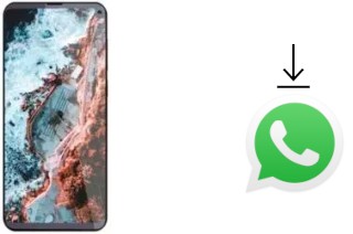 Come installare WhatsApp su Cubot Max 2