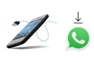 Come installare WhatsApp su Danew Konnect 350