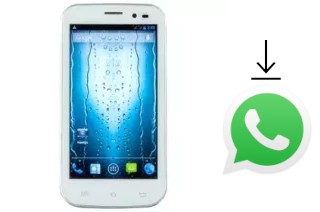 Come installare WhatsApp su Dex GS454