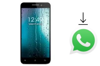 Come installare WhatsApp su Dex GS500