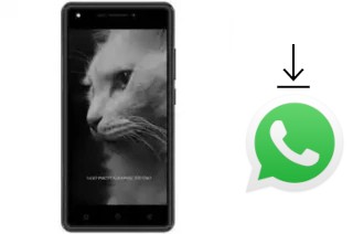 Come installare WhatsApp su DEXP BL250