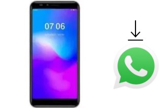 Come installare WhatsApp su DEXP GL355