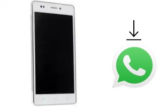 Come installare WhatsApp su DEXP Ixion M 5