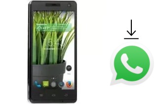 Come installare WhatsApp su DEXP Ixion XL 5