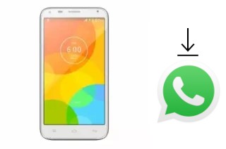 Come installare WhatsApp su Ding Ding SK1