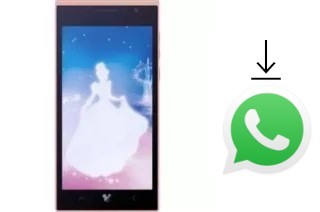 Come installare WhatsApp su Disney Mobile DM001C Princess