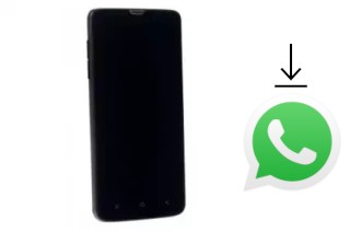 Come installare WhatsApp su DNS S4704