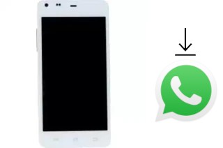 Come installare WhatsApp su DNS S4705