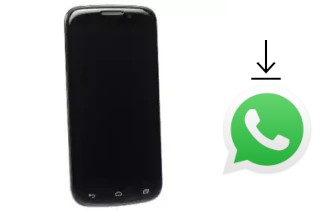 Come installare WhatsApp su DNS S5002