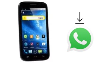 Come installare WhatsApp su DNS S5301Q