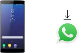 Come installare WhatsApp su Doogee BL12000