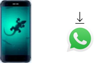 Come installare WhatsApp su Doogee F3 Pro