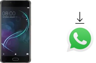 Come installare WhatsApp su Doogee Shoot 1