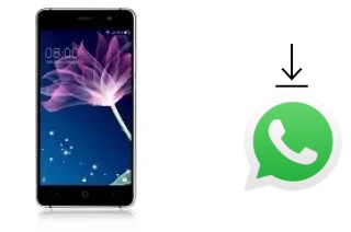 Come installare WhatsApp su Doogee X10S