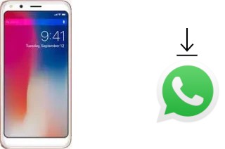 Come installare WhatsApp su Doogee X53