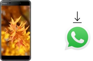 Come installare WhatsApp su Doopro C1 Pro