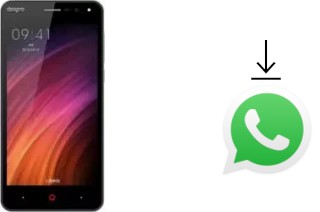 Come installare WhatsApp su Doopro P3