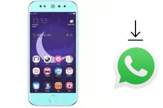 Come installare WhatsApp su Doov L525