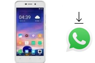 Come installare WhatsApp su Doov V31