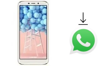 Come installare WhatsApp su Doov V33