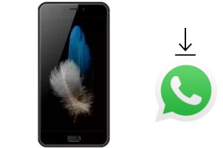 Come installare WhatsApp su Eko Omega Q57