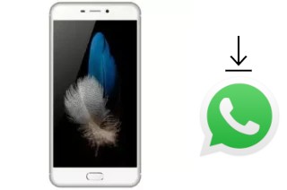 Come installare WhatsApp su Eko Star G50