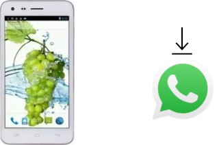 Come installare WhatsApp su Elephone P7 mini