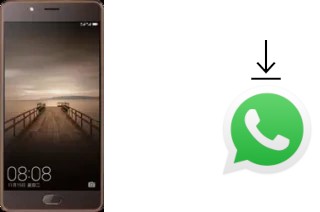 Come installare WhatsApp su Elephone P8 (2017)