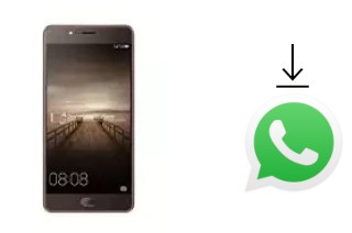 Come installare WhatsApp su Elephone P8 Mini